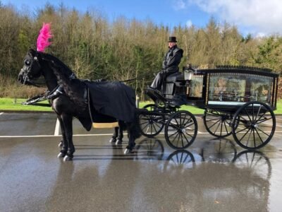 116697151_3185367488168839_2716947036578924665_n-400x300