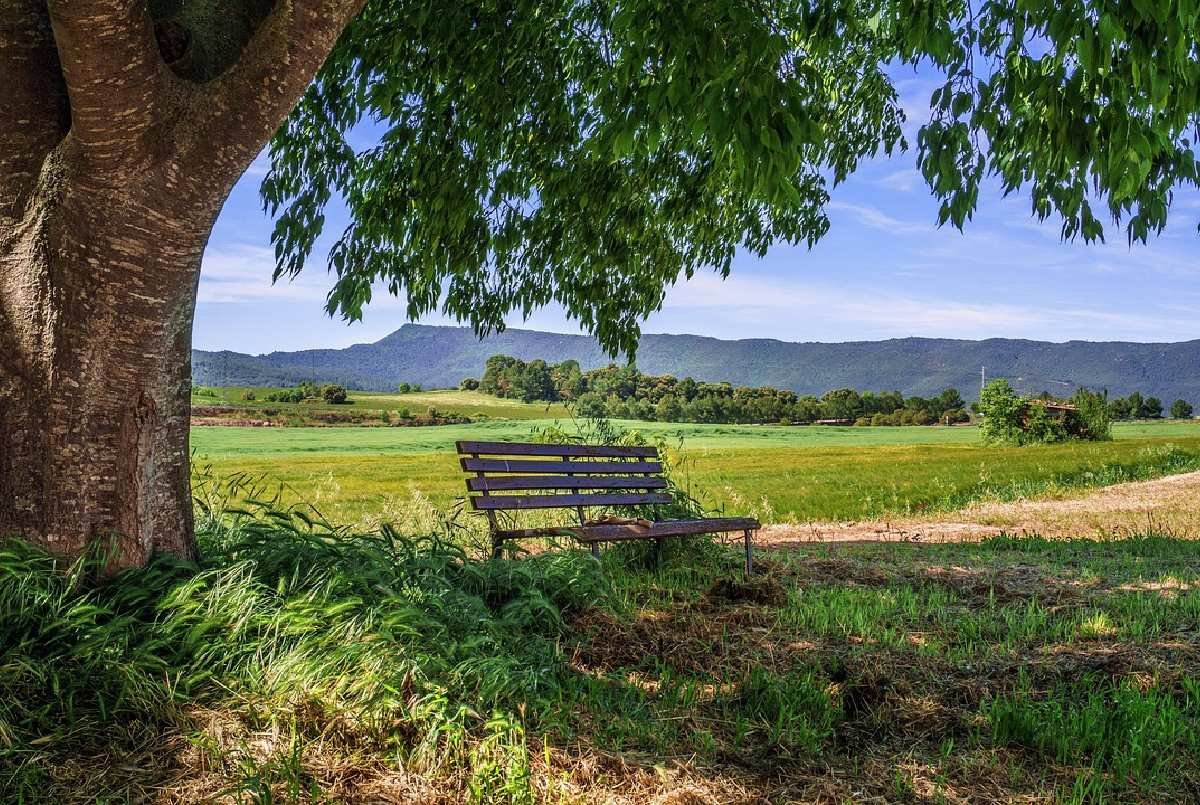 rural-area-bank-landscape-rural(1)